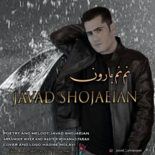 دانلود آهنگ جدید جواد شجاعیان به نام نم نم بارون